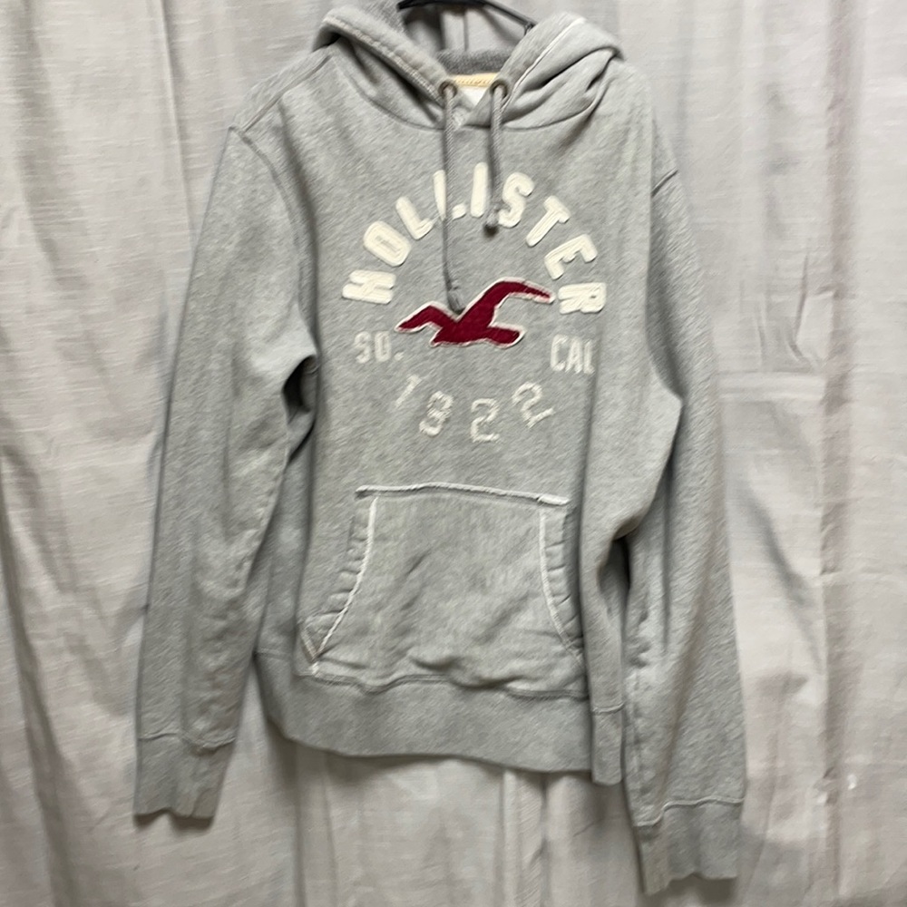 Grey Hollister Men’s Hoodie